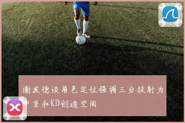 谢泼德谈角色定位强调三分投射为申京和KD创造空间