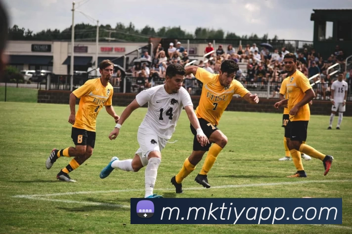 MK体育app服务体系